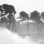 Tall palm trees bend in strong winds as large ocean waves crash onto the shore, creating mist and spray. The stormy scene highlights the importance of disaster preparedness amid blurred visibility and intense weather.