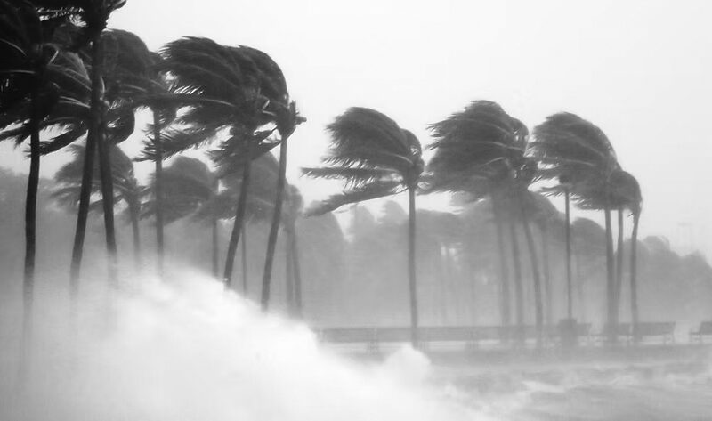 Tall palm trees bend in strong winds as large ocean waves crash onto the shore, creating mist and spray. The stormy scene highlights the importance of disaster preparedness amid blurred visibility and intense weather.